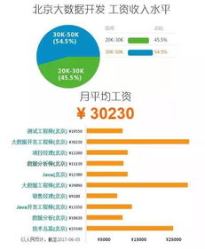 2017年大數(shù)據行業(yè) 掘金“服務”藍海，數(shù)據變現(xiàn)正當時